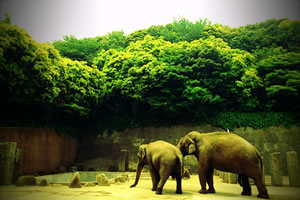 金沢自然動物公園